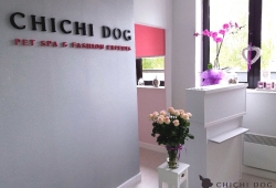 ChiChi Dog, salon pielęgnacji psów, stacja metra Natolin